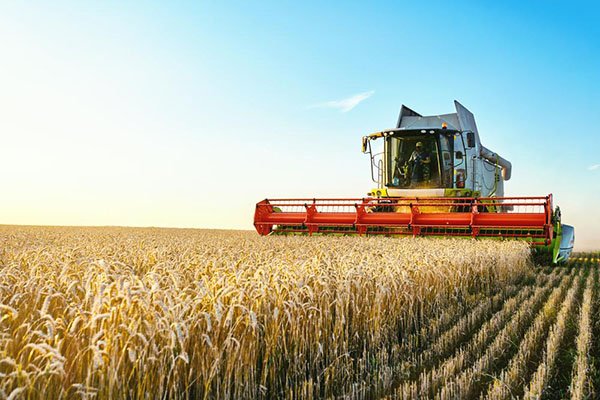 Combine,Harvester,Harvests,Ripe,Wheat.,Agriculture